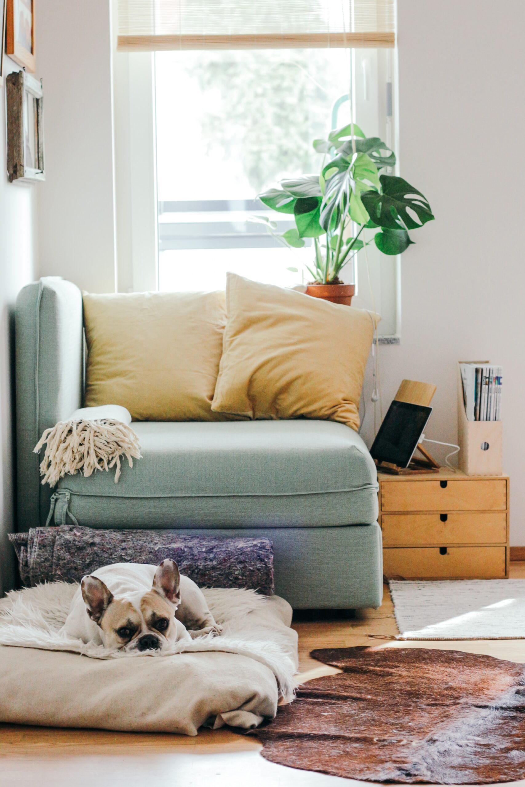 Insulated home office